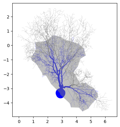 The stem flow boundary hull