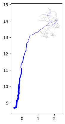 Plot of the entire tree - XZ
